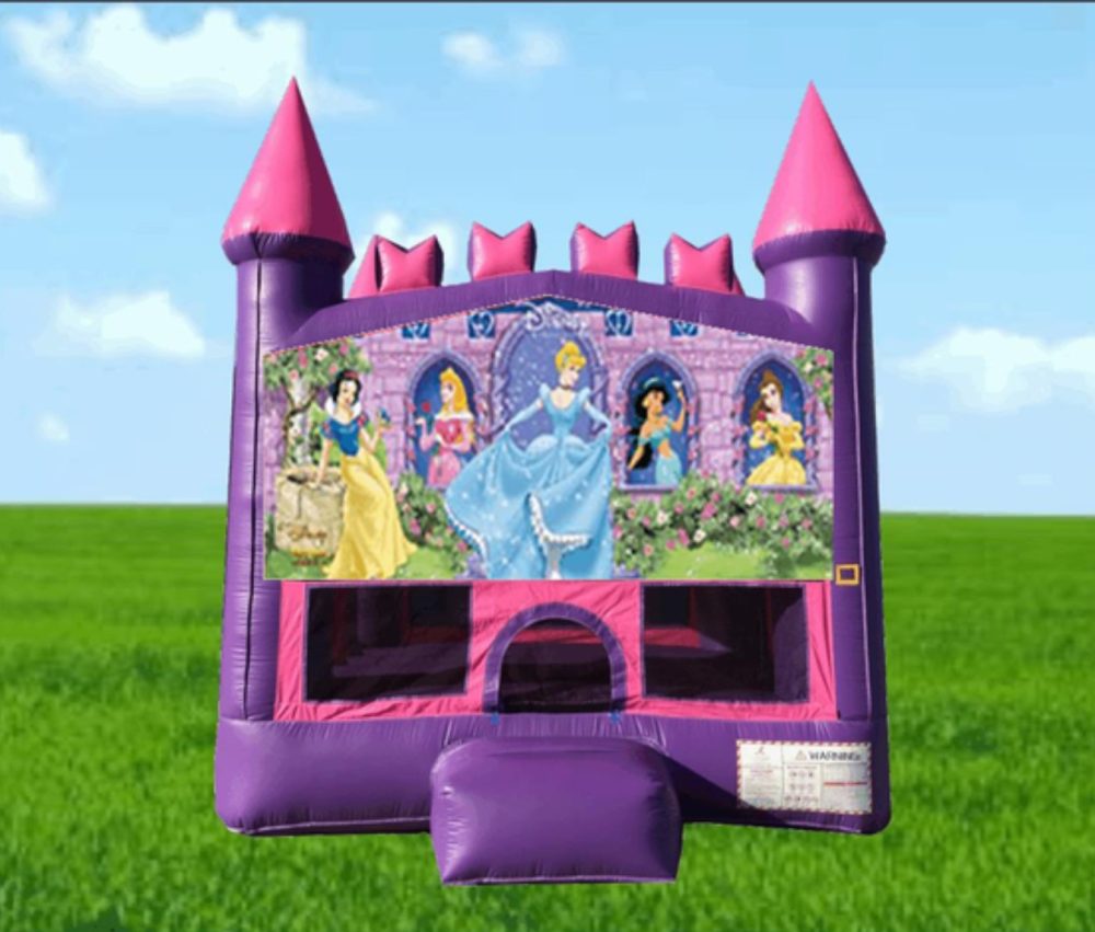 Pink Disney Princess